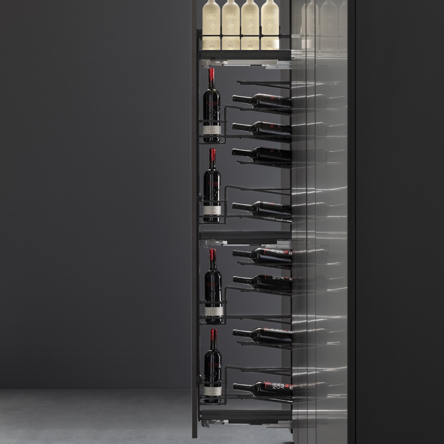 Pull-out larder unit for bottles 107 mm anthracite (left)