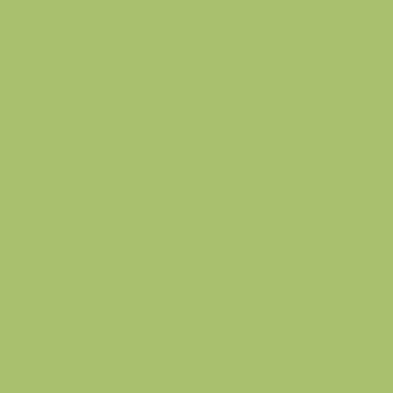 Surface solide acryique 060A - Lime